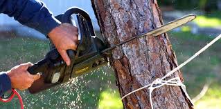Best Lawn Watering Services  in Hockinson, WA