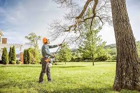 Best Arborist Consultation Services  in Hockinson, WA