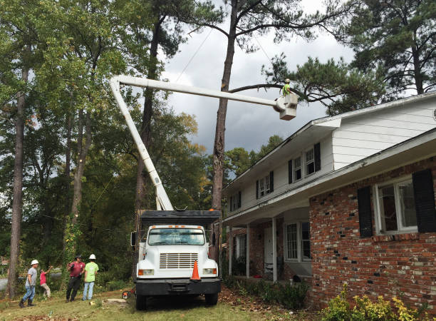 Best Tree Health Inspection  in Hockinson, WA